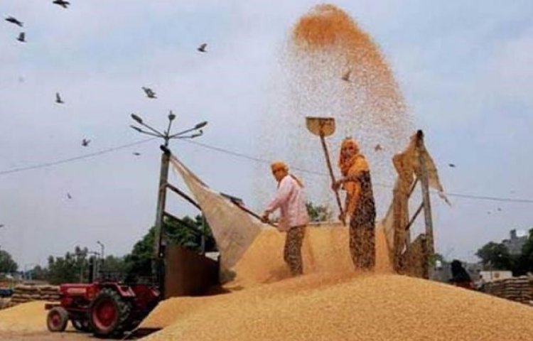 Amid Covid-19 curbs, UP ropes in farm entrepreneurs to procure wheat