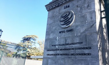 Inaction of developing countries on agricultural subsidy in WTO and its implications