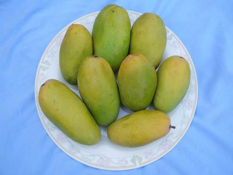 Lockdown to spur online marketing of Indian mango