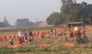 Govt should set up  “National Rural Prosperity Fund” for improving private capital formation and asset creation in rural areas