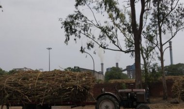 UP govt silent on interest on arrear payments; will SC decide sugarcane farmers’ rights?