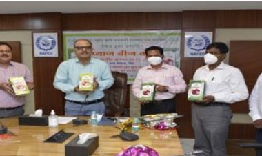 NAFED launches high-yielding onion seeds variety