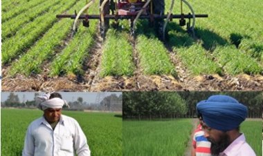 The “slow magic” of agricultural research must accelerate