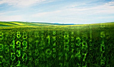 Understanding social costs of e-retail and monopoly