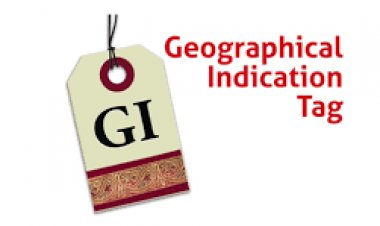 GI tag to spur farm, MSME exports in UP