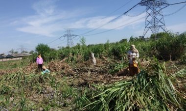 Union Budget needs to peg big fund to boost rural economy