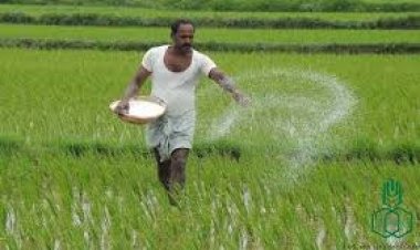 Fertilizer shortage crisis looms due to steep rise in global prices