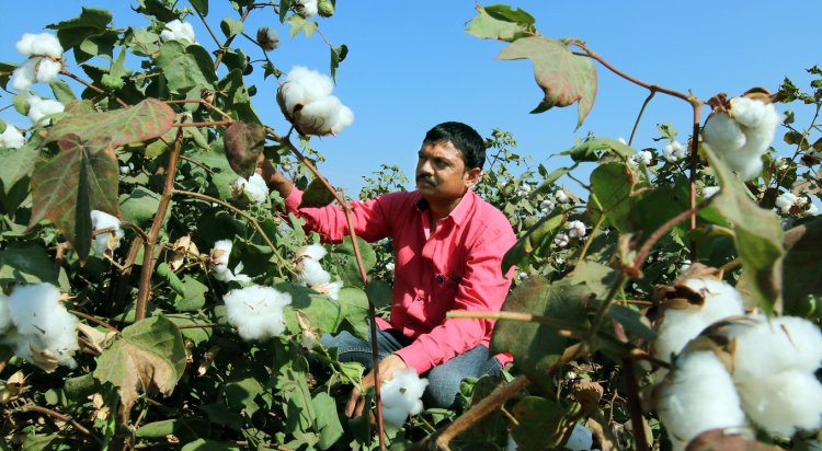 Adaptation of scientific agriculture practices will drive global demand towards Indian cotton farmer - Farmer News: Government Schemes for Farmers, Successful Farmer Stories