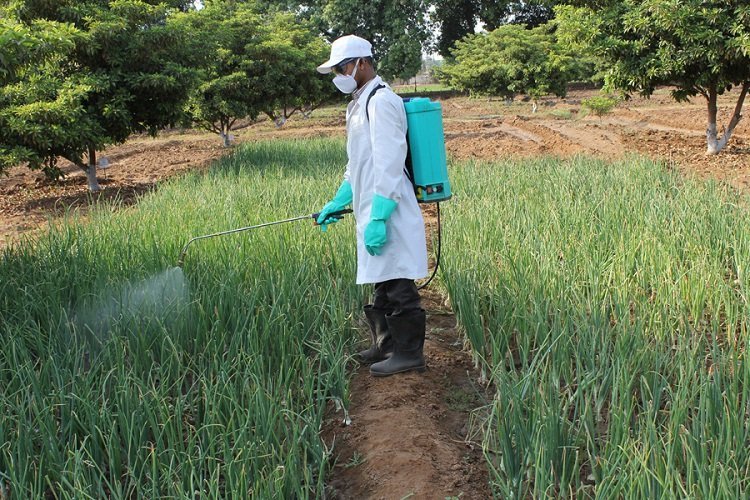 Swadeshi Jagran Manch suggests comprehensive reforms for Pesticide Management Bill 2020