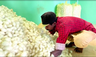 ReshaMandi eyes expansion of silk portfolio in Delhi