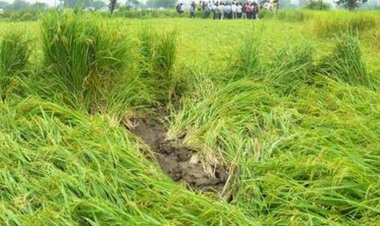 PMFBY: Introspection, Expectations and Future Road Map