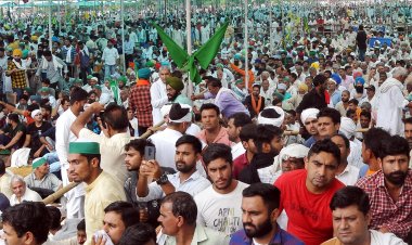 Legal guarantee to MSP - to be or not to be? 