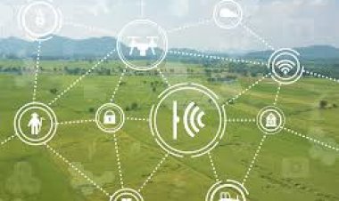 Making technology relevant: Interventions for transforming Indian agriculture sector