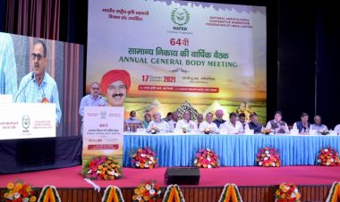 Continued improved performance makes NAFED net worth positive