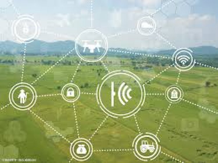 Making technology relevant: Interventions for transforming Indian agriculture sector