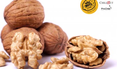 Walnuts from Chile launched in India