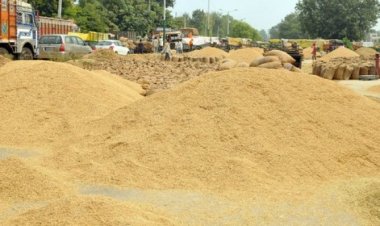 Big support for MSP paddy procurement in Haryana by NCDC: Rs 6836 crore sanctioned