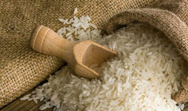 Sufficient foodgrains in stock under Central Pool