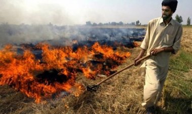 Roots Foundation to train nearly 50,000 farmers of Punjab and Haryana to tackle stubble burning
