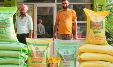 Cabinet approves Nutrient Based Subsidy rates for Rabi Season, 2024