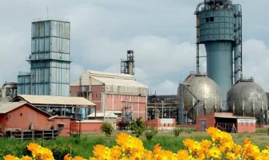 Strategy for increasing indigenous DAP production capacity and long-term import deals in the wake of Rabi season crisis