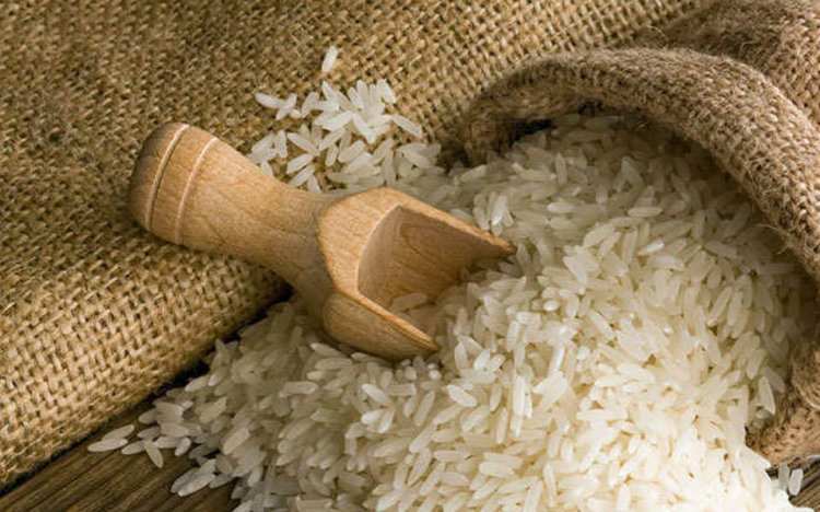 Rice industry needs a comprehensive strategy: Infomerics