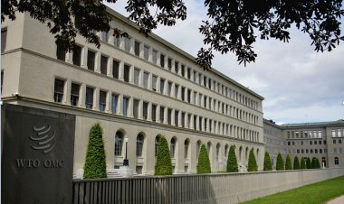 WTO MC12: India faces tough challenges in moving from "peace clause" to "permanent solution"