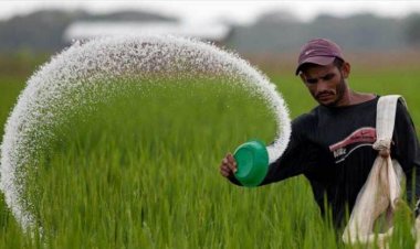 Cabinet approves Nutrient Based Subsidy (NBS) rates for decontrolled fertilizers for Rabi season