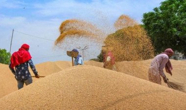 MSP in India targeted using WTO’s deeply flawed methodology