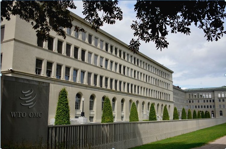 WTO MC12: India faces tough challenges in moving from "peace clause" to "permanent solution"