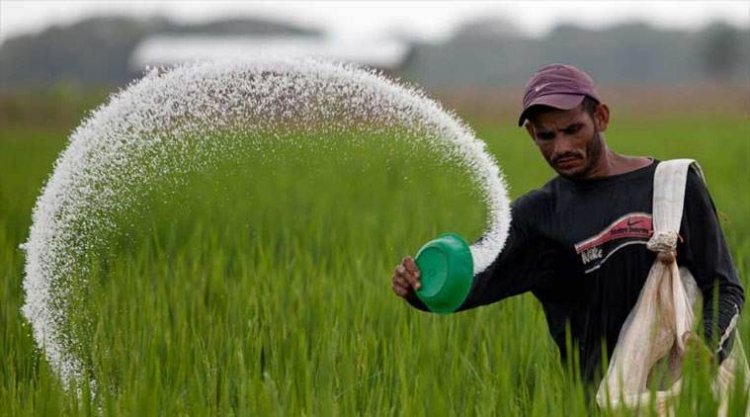 Urea prices reach $900; fertilizer prices are constantly going up in global market