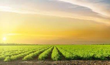 Arya.ag leads the way in agritech ecosystem by joining UN Global Compact Network India