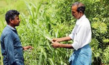 Samunnati enters into largest co-lending partnership with SBI for financing FPOs