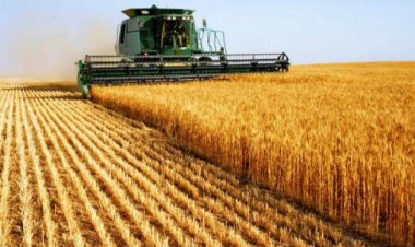 States should focus on agriculture followed by industrialization for sustainable, inclusive growth