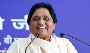 Mayawati may upset SP-RLD’s Jat-Muslim calculus in UP polls