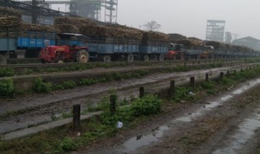 Why sugarcane and sugar industry is evergreen in UP