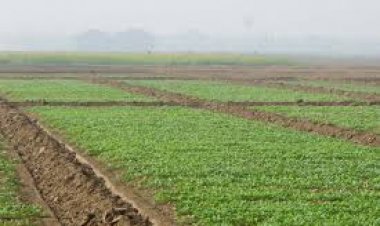 Govt endeavour to promote natural farming