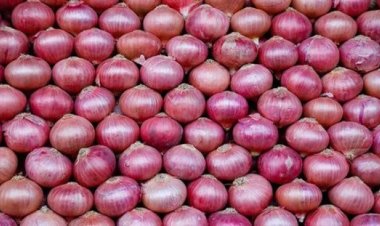 More incentive sought for kharif onion; tomato price to cool down: Govt