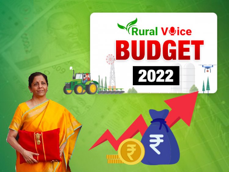 Provision of Rs 900 crore in Budget for Ministry of Cooperation; AMT and surcharge for cooperative societies reduced