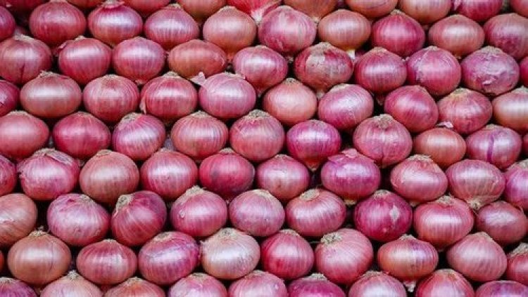 Nod to export 50,000 tonnes onion to  Bangladesh, 30,000 tonnes of non-basmati white rice to Tanzania