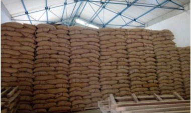 SLCM Group receives patent for its ‘Agri Reach’ technology platform in the warehousing segment