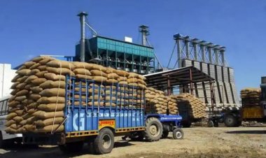 Record agri exports at more than $50bn in 2021-22