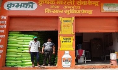 Expert committee formed on NBS amidst record rise in prices of complex fertilizers