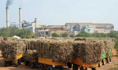CPCB orders closure of 45 sugar mills in Maharashtra for polluting environment
