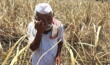Farm loan waivers do not improve condition of farmers; they increase chances of wilful default: BKS-Nabard report