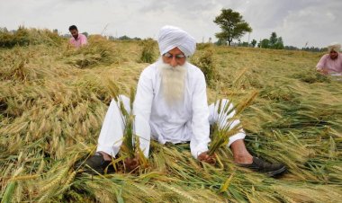 Create a farmer distress index; make it easy to get agricultural loans: BKS-Nabard report