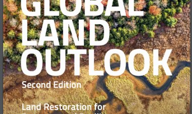 Up to 40% of the planet’s land is degraded, threatens roughly half of global GDP: UNCCD report