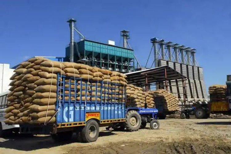 India exporting wheat, rice to needy countries for their food security