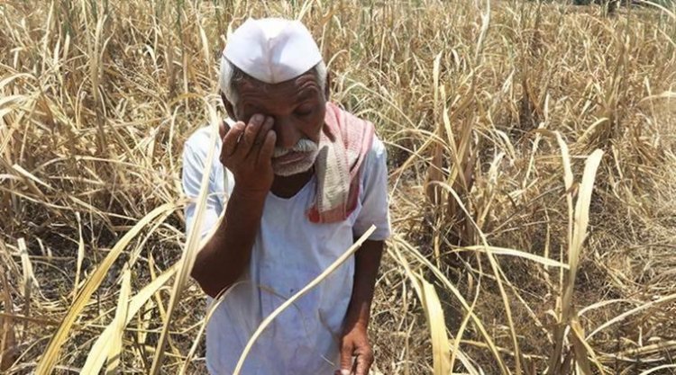 Farm loan waivers do not improve condition of farmers; they increase chances of wilful default: BKS-Nabard report