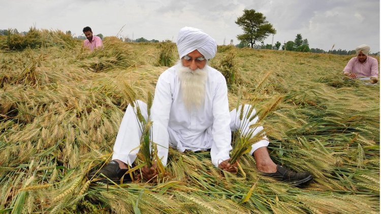 Create a farmer distress index; make it easy to get agricultural loans: BKS-Nabard report